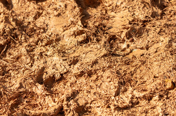 Red modeling clay on the ground as a background