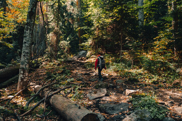 a tourist with a backpack walks through the autumn forest