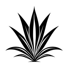 Simple Vector Illustration of Agave. SVG