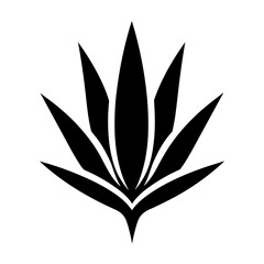 Simple Vector Illustration of Agave. SVG