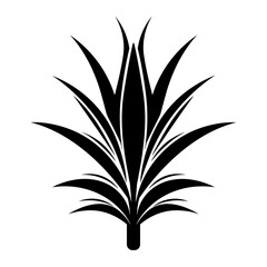 Simple Vector Illustration of Agave. SVG