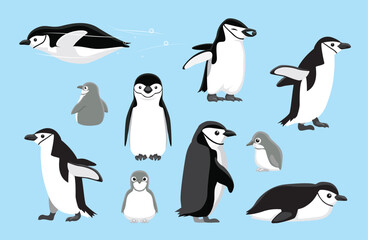 Chinstrap Penguin Chick Cute Bird Winter Set Cartoon Vector