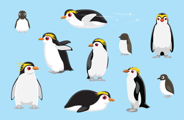 Royal Penguin Chick Cute Bird Winter Set Cartoon Vector