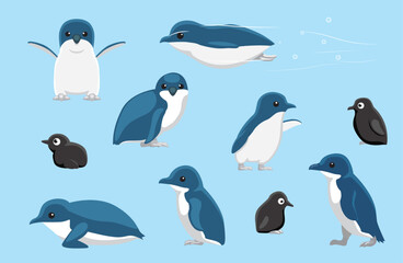 Little Penguin Chick Cute Bird Winter Set Cartoon Vector
