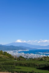 Fototapeta na wymiar 静岡県日本平からの富士山
