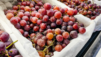 Pile of fresh grape in a local market in Thailand, Organic bunch of grapes in supermarket. Fresh grape on basket, Grape background. Group of fresh grape at a fruit store.