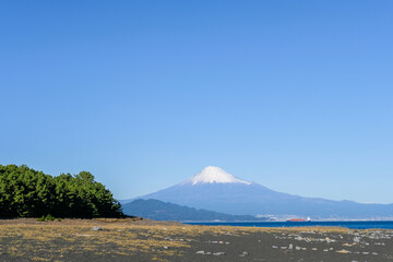 静岡県　三保の松原　富士山