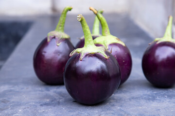 Fresh eggplant on a black concrete floor. Selective Focus, Agricultural concept, cultivated vegetables