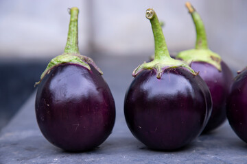 Fresh eggplant on a black concrete floor. Selective Focus, Agricultural concept, cultivated vegetables