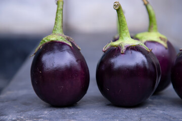 Fresh eggplant on a black concrete floor. Selective Focus, Agricultural concept, cultivated vegetables