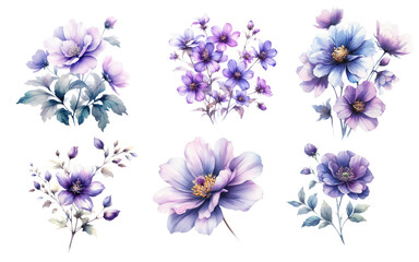 Watercolor purple flowers on white background