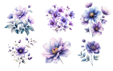 Watercolor purple flowers on white background