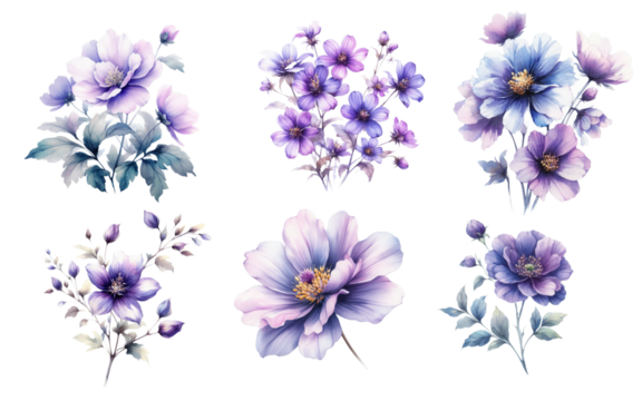 Watercolor purple flowers on white background