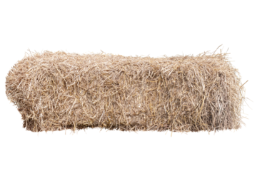 A pile of hay isolated on white background included clipping path.