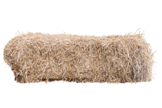 A pile of hay isolated on white background included clipping path.