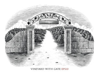 Vineyard with gate hand drawing vintage style black and white clip art