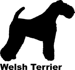 Welsh Terrier Dog silhouette dog breeds logo dog monogram logo dog face vector