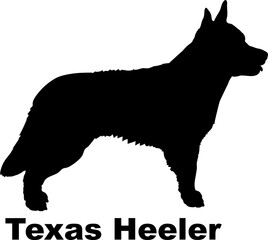 Texas Heeler Dog silhouette dog breeds logo dog monogram logo dog face vector