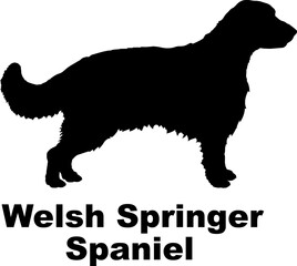 Welsh Springer Spaniel Dog silhouette dog breeds logo dog monogram logo dog face vector