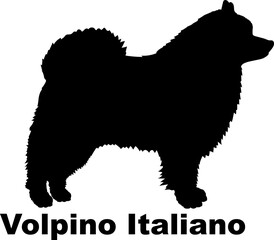 Volpino Italiano Dog silhouette dog breeds logo dog monogram logo dog face vector