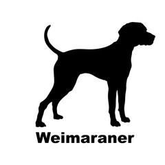 Weimaraner Dog silhouette dog breeds logo dog monogram logo dog face vector