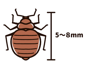 トコジラミの大きさのイメージ