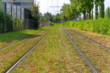 Fototapeta premium Diminishing view of tramway coverd with grass at Swiss City of Zürich on a hot sunny summer day. Photo taken July 10th, 2023, Zurich, Switzerland.