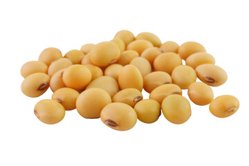 Soybeans Isolated Transparent