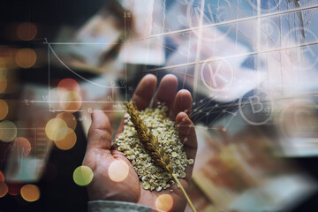 The concept of the cost of grain. 5000 ruble banknotes around a handful of ground grain. World...