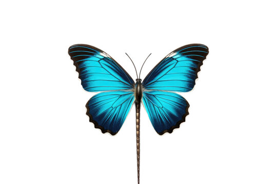 Unaltered Image of Butterfly Hairpin isolated on transparent background