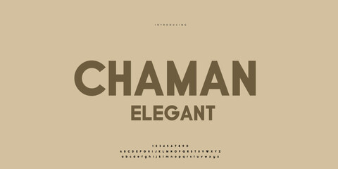 Hand drawn elegant alphabet letters font and number. Classic Lettering Minimal Fashion Designs. Typography modern Sen serif fonts regular decorative vintage concept. vector illustration © SyedMuhammad