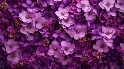 Fotobehang purple flowers © geby