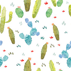 Seamless pattern with Cactus
