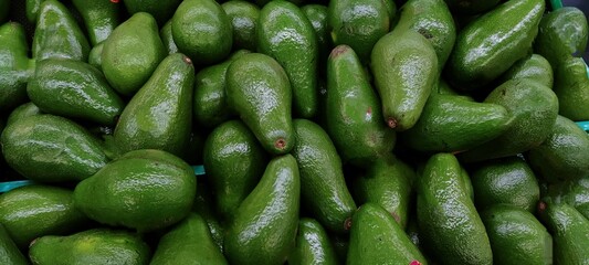 Avocado, also known as 
