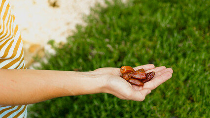 Man hand holding and showing pile of dates in green grass background. Healthy lifestyle food with...