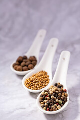 Peppercorns, coriander and allspice in a ceramic spoon