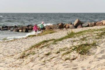 Ostseeküste bei Thiessow, Insel Rügen, Mecklenburg-Vorpommern, Deutschland