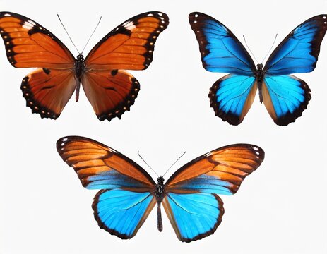 Ulysse Bilder Durchsuchen 2,859 Archivfotos, und