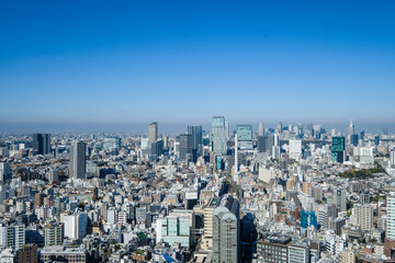 Fototapeta premium 東京シティビュー 都市風景