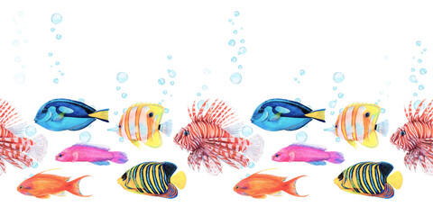 Fish bubble seamless border. Watercolor illustration of underwater ocean life on white background. Colorful lionfish, butterfly fish and golden antias in fishtank or aquarium