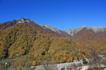 autumn in the mountains
