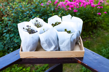 Medical herbs for herbal tea and homeopathic treatment. Drying plants in paper bags.
