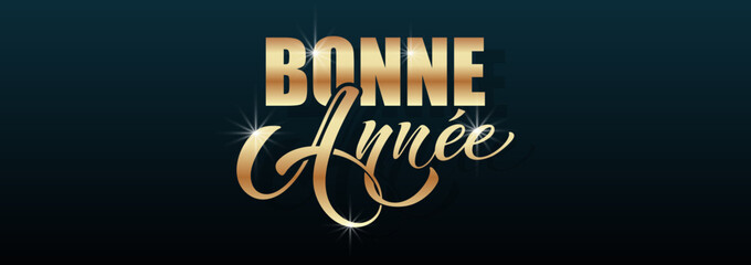 Bonee Annee and Joyeux noel. Merry Christmas card template with greetings in French.