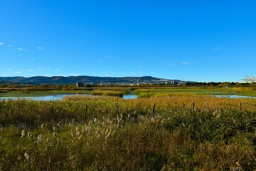 View of Skocjanski zatok wetland marsh landscape and hill with houses in Koper in Primorska, Slovenia