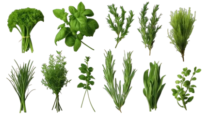 Foto op Aluminium Set of Fresh Herbs Isolated on Transparent or White Background, PNG © Bob