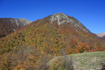 autumn in the mountains