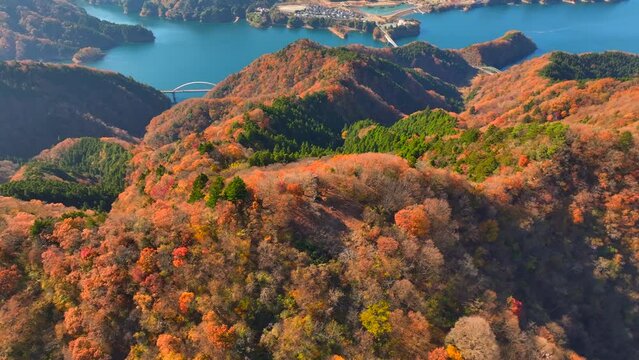 宮ヶ瀬湖と最盛期の紅葉空撮 2023
