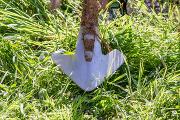 Old grubber with green background.
