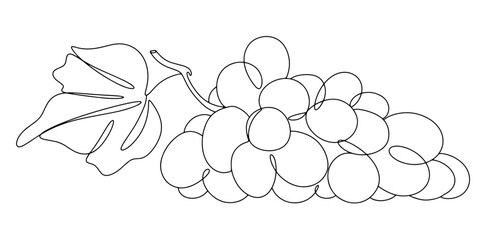 Grape. Bunch. Muscat. One line.