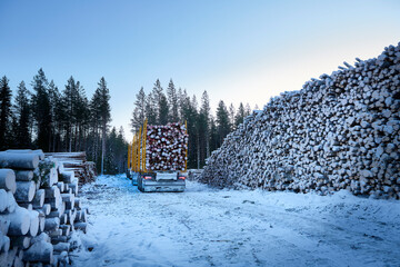 Loaded logging truck in the forest at the loading point
